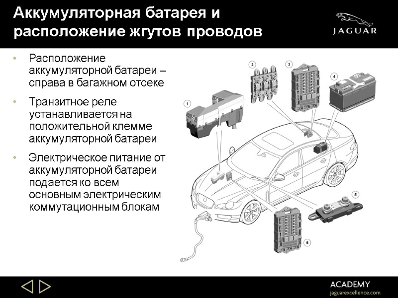 Аккумуляторная батарея и расположение жгутов проводов Расположение аккумуляторной батареи – справа в багажном отсеке